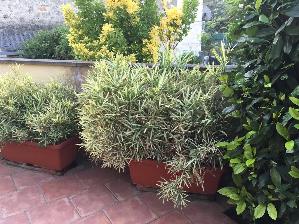 Bed and Breakfast A Casa Di Grace Cassino Exterior foto